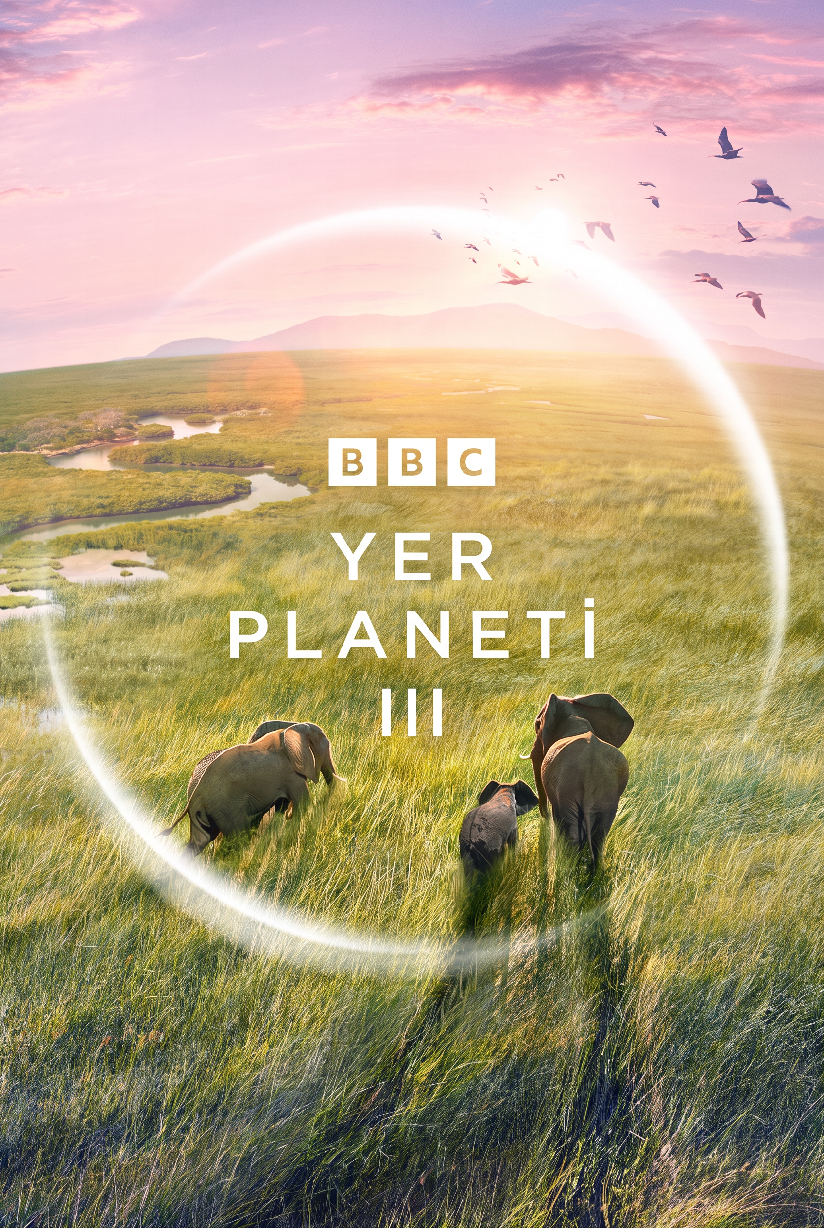 BBC: Yer planeti III