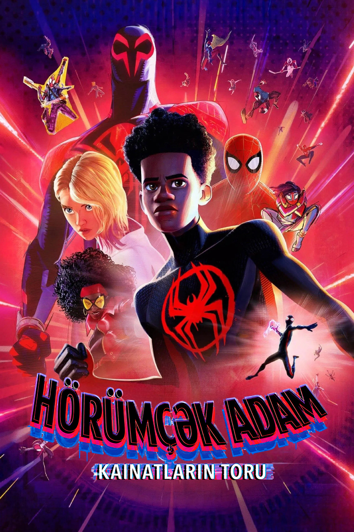 Hörümçək adam: kainatların toru